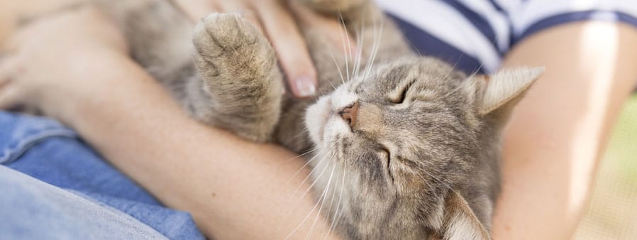 Woman cradling a cat