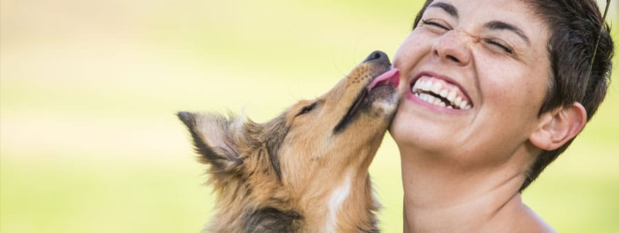 Dog kissing its owner